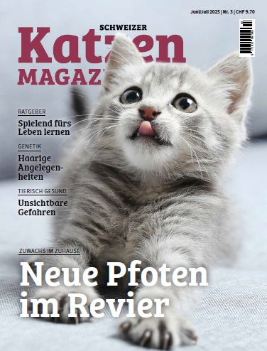 Schweizer Katzen Magazin Schweizer Katzen Magazin