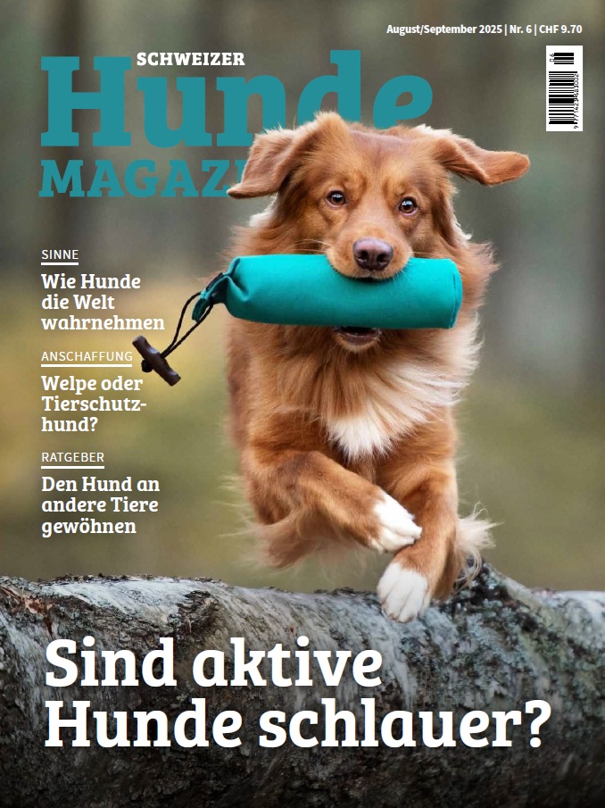 Schweizer Hunde Magazin Schweizer Hunde Magazin