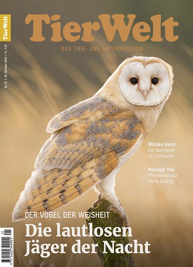 Die Tierwelt Die Tierwelt