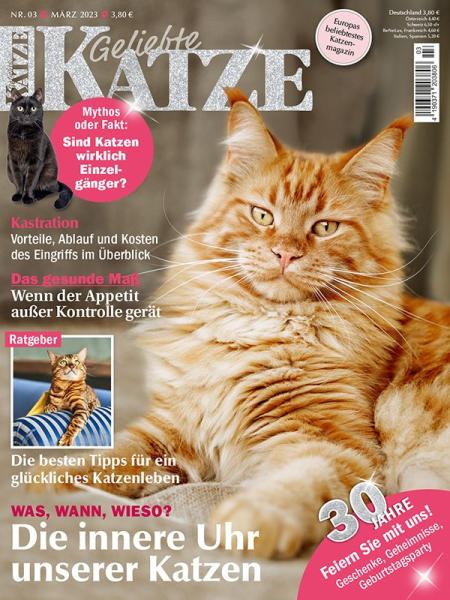 Geliebte Katze Geliebte Katze