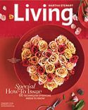 MARTHA STEWART LIVING (US) MARTHA STEWART LIVING (US)