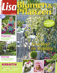 LISA Blumen+Pflanzen LISA Blumen+Pflanzen